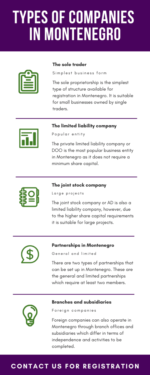 Types-of-companies-in-Montenegro.png